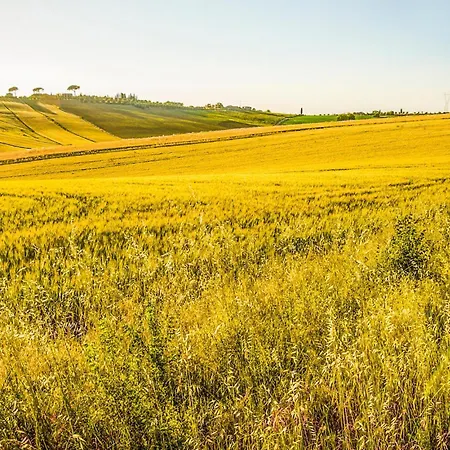 Casa vacanze Gorgeous In Palazzetto Nese Ascagnano